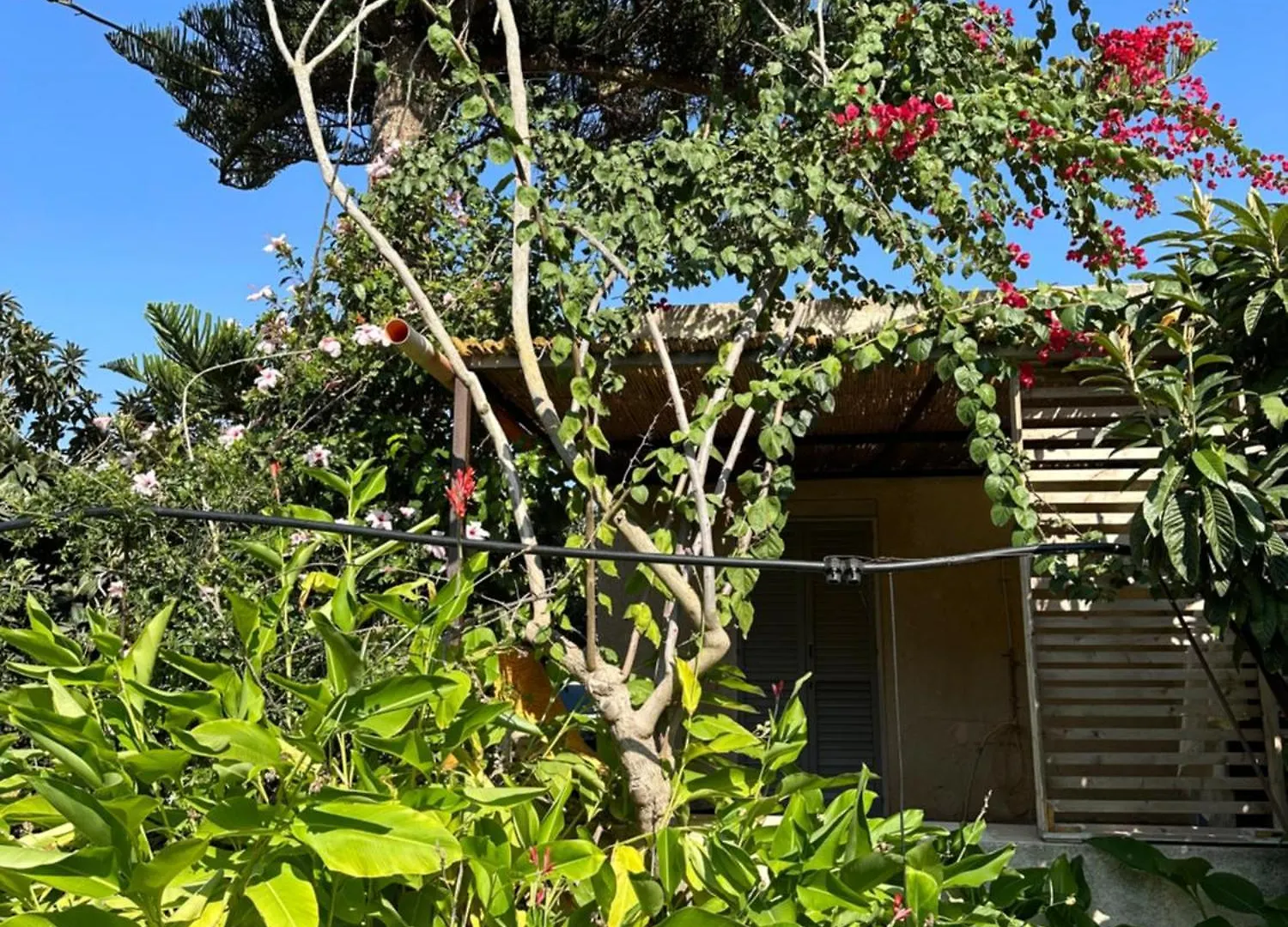 Villa Bosco Borgo Bonsignore